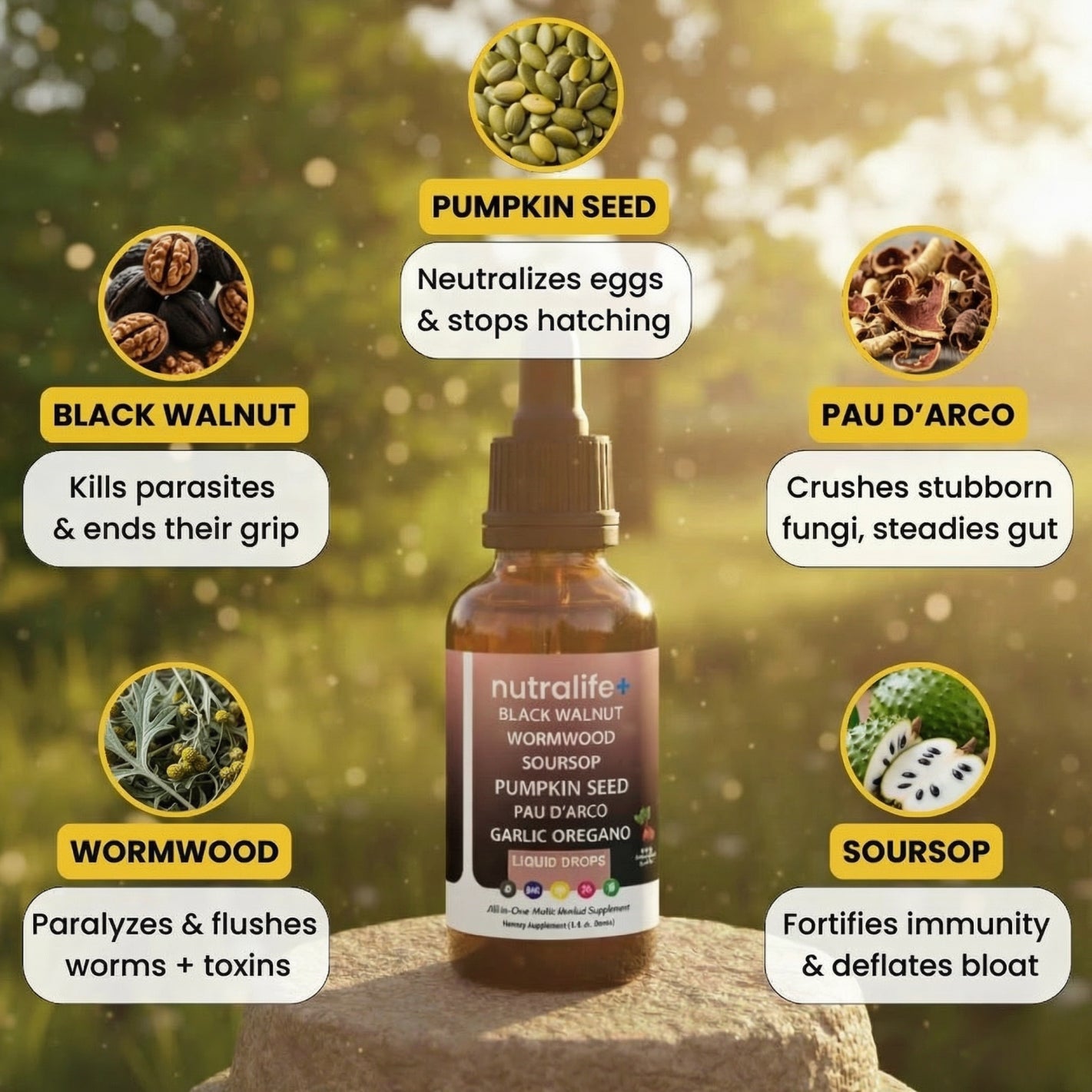 Black Walnut Parasite Cleanse